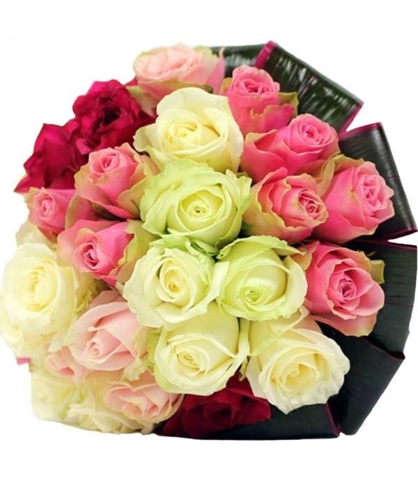 Bouquet of 24 colorful roses