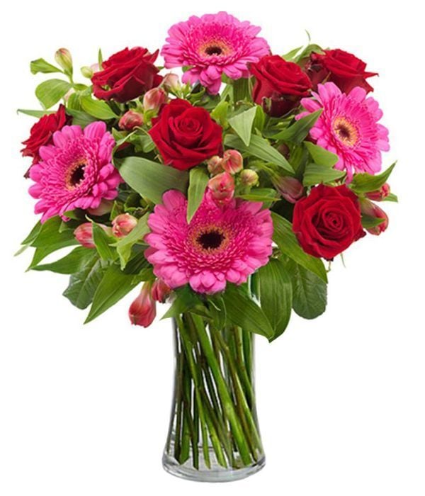 Fuchsia, pink and red flowers (Basic)