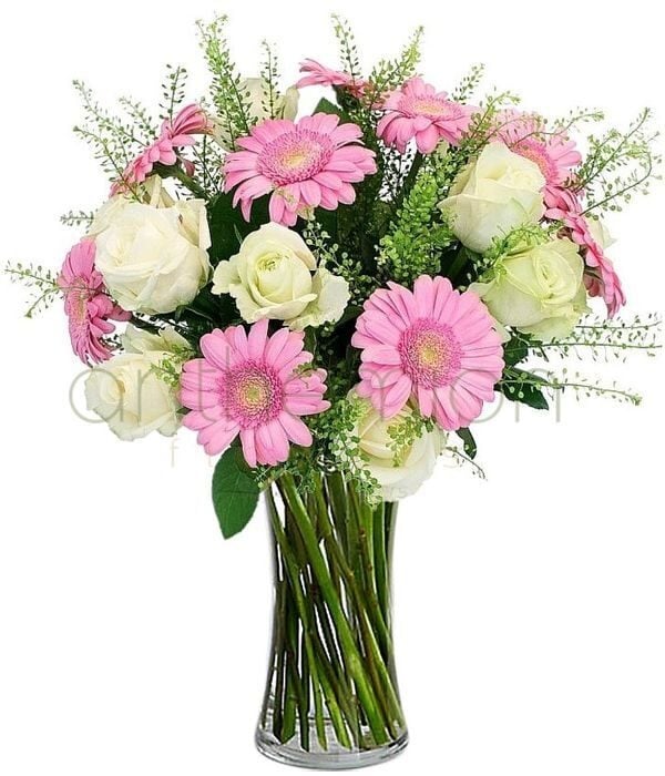 Ismene with white roses and pink gerberas (Basic)