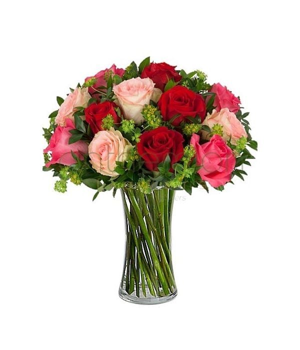 Emelia with gorgeous roses (Basic)