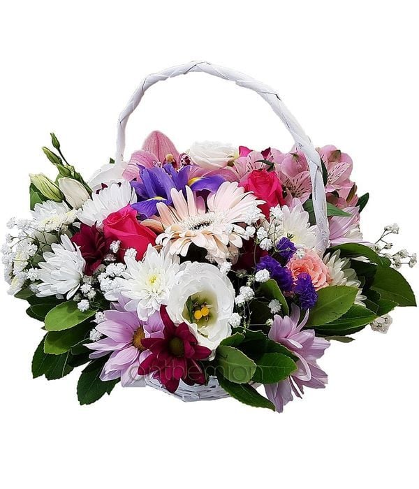 Sweet Basket (Basic)