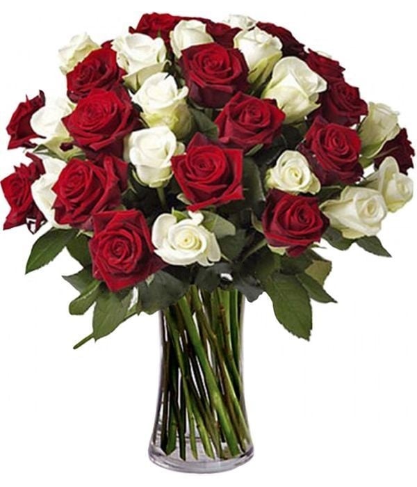 Bouquet of red and white roses