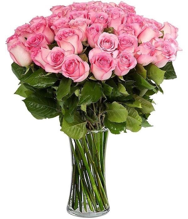 Bouquet of 80 pink roses