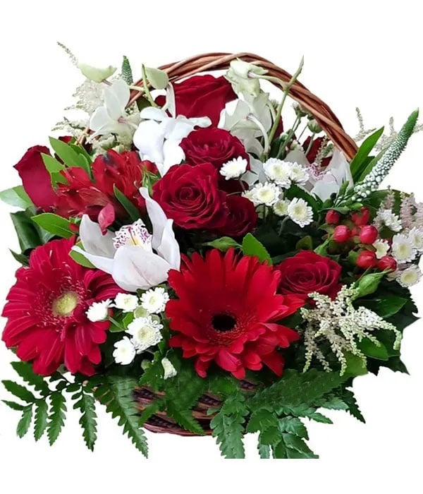 White and red flowers in basket (Basic)