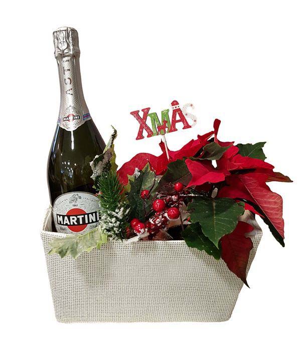 Poinsettia Plant With Asti Martini Sparkling Wine