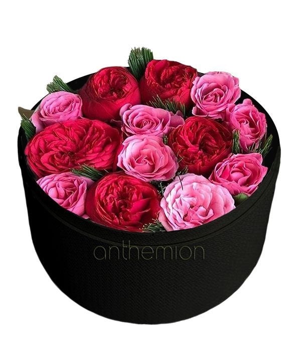 Red and pink roses in black box (Basic)