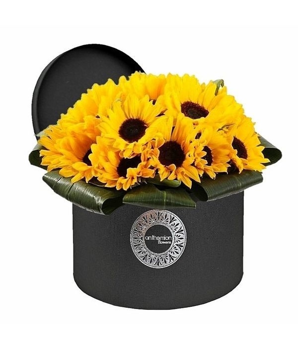 Sunflowers in black box (Basic)