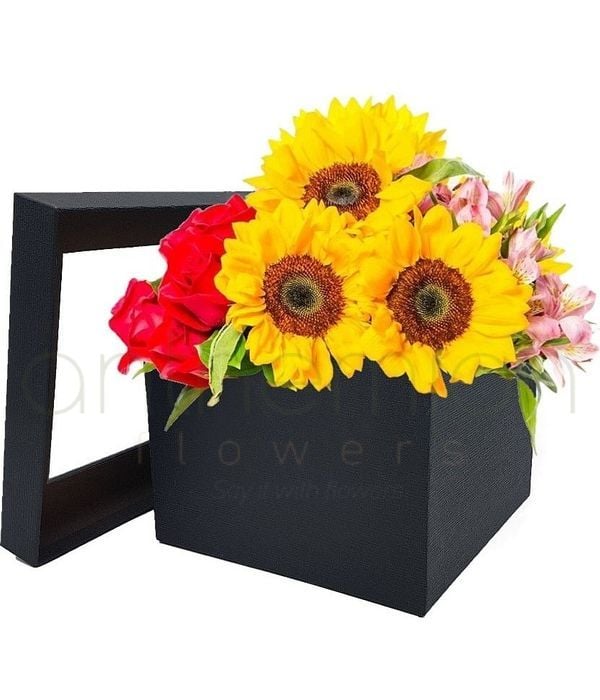 Modern Design Arrangement