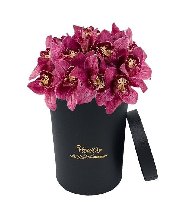 Exotic orchids in black box (Basic)