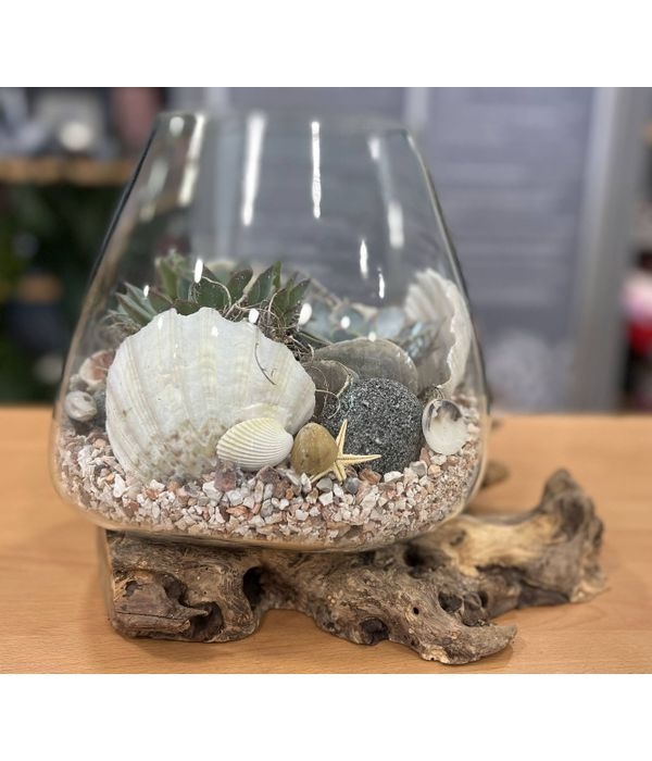 Cognac glass vase with succulents
