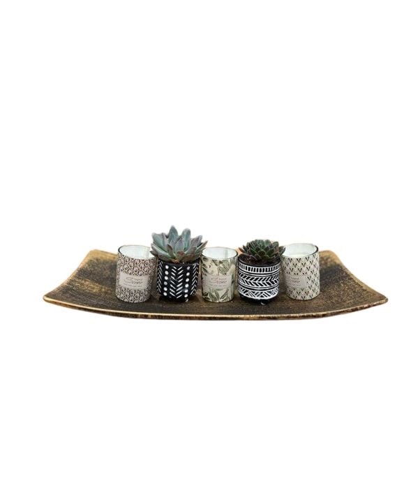Senecio in ceramic head