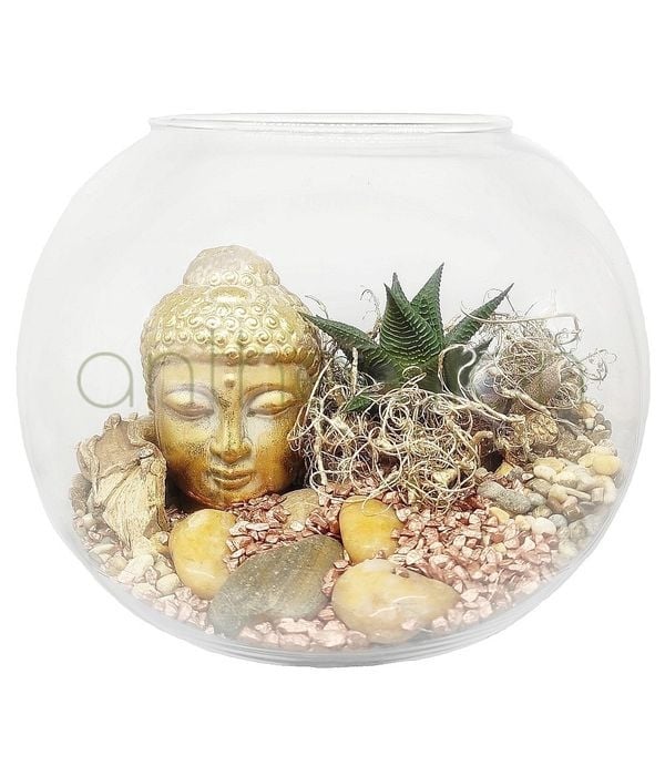 Decorative fishbowl with succulent
