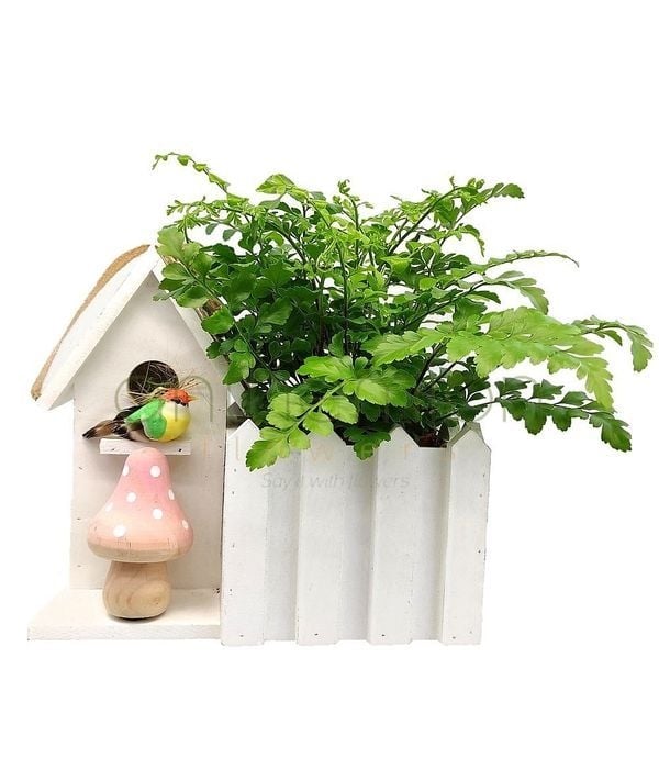 Wooden house with green plant