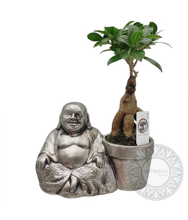 Bonsai and Buddha