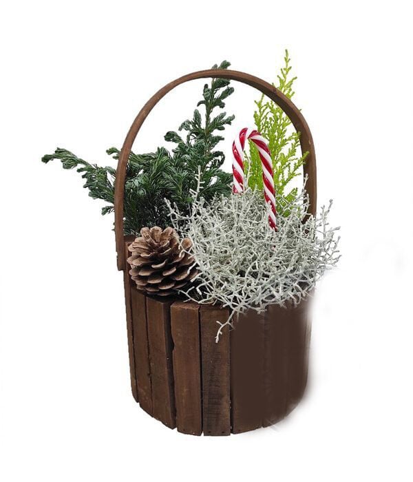 Wooden basket plant arrangement