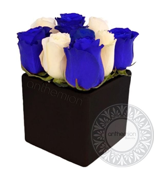Blue and white roses in a cube (Basic)