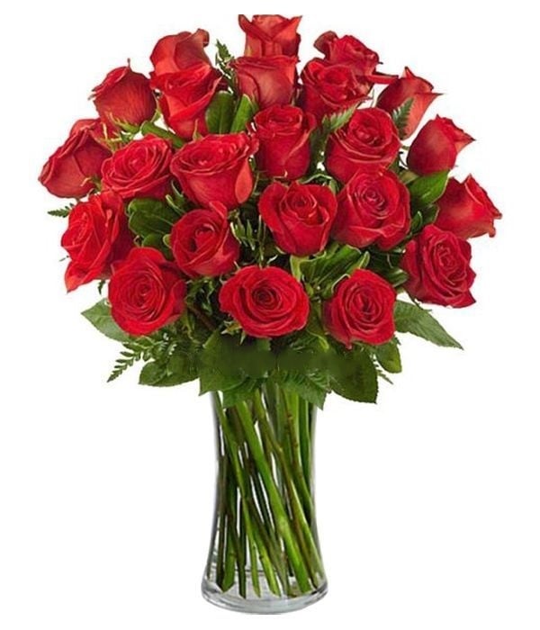 Bouquet of 24 red roses