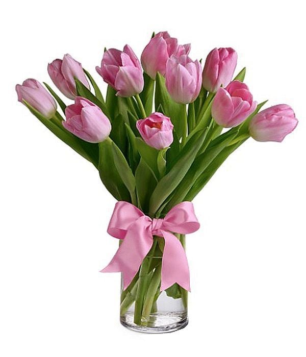 Pink tulips in glass vase
