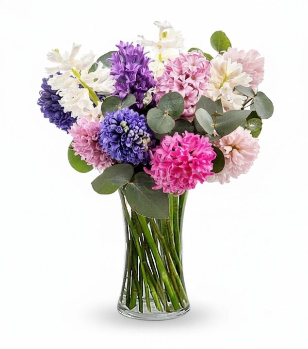 Fragrant hyacinths colorful in a vase