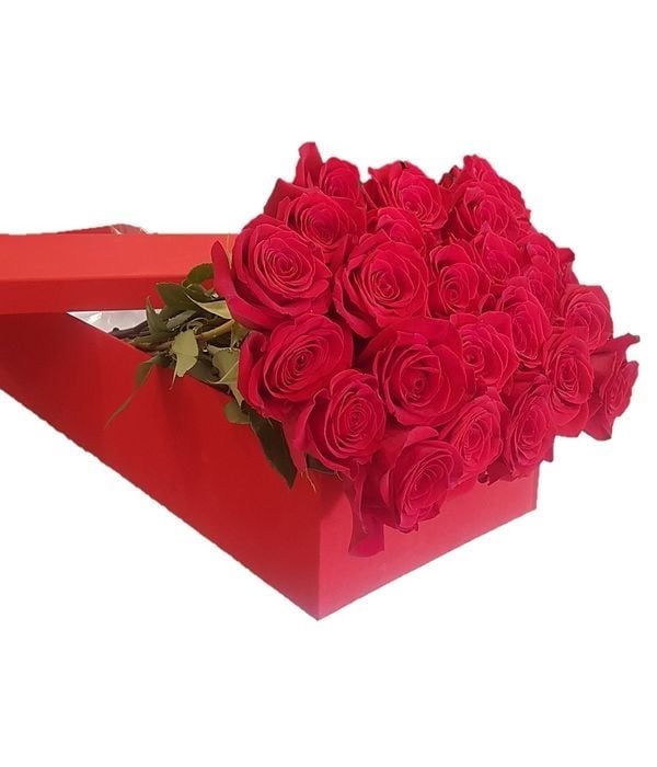 24 red roses in gift box