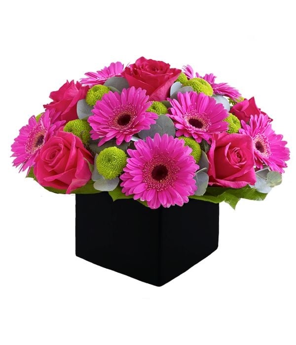 Fuchsia gerberas and roses in cube (Basic)
