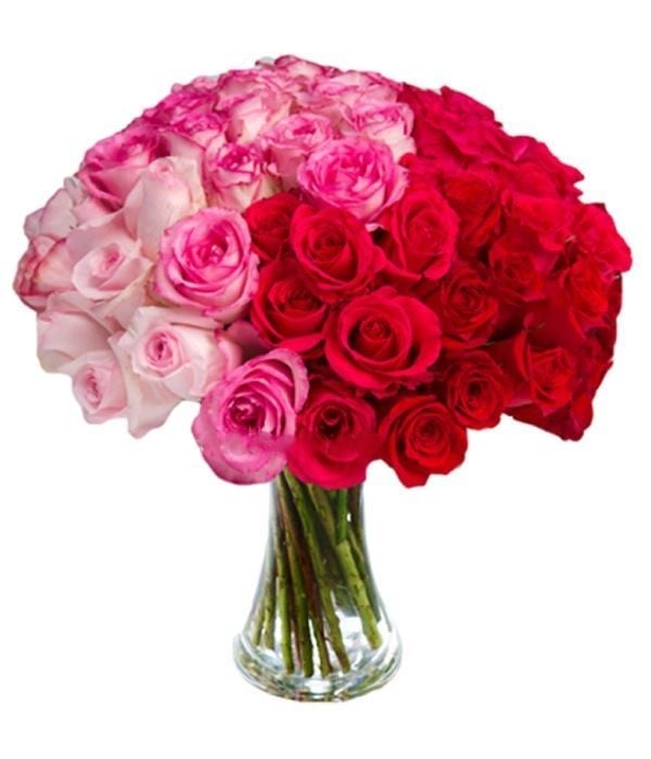 Bouquet Of 48 Gorgeous Roses
