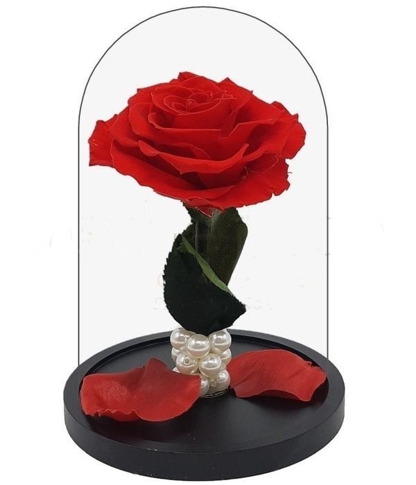 Forever Red Rose (Large Size)