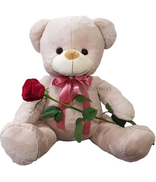 Large teddy bear 40 cm with a red rose