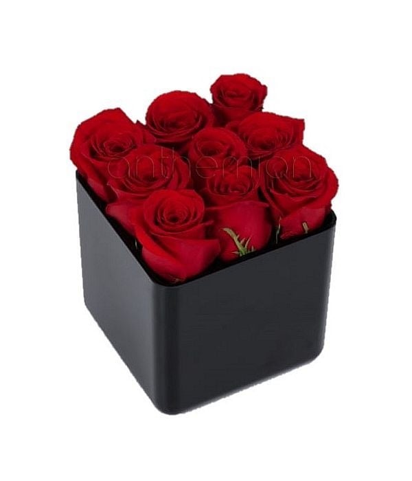 Cube arrangement of roses (choose rose color)