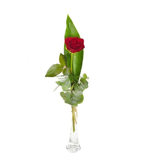 The Classic Rose. Vase is included