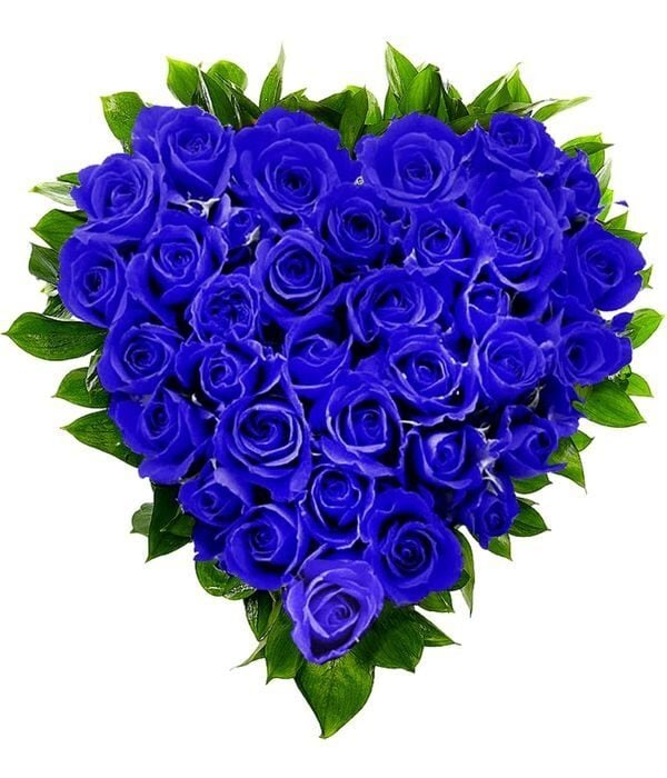 Blue roses heart