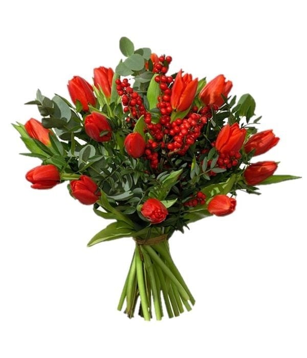 Red tulip bouquet (Basic)
