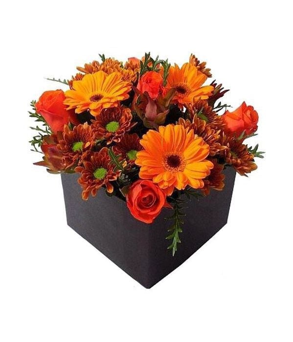 Orange arrangement in cube (Basic)