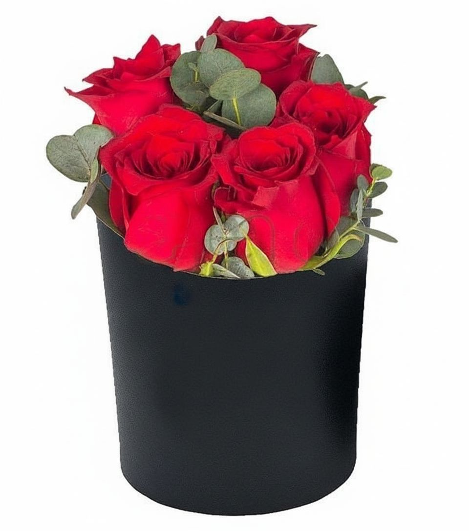 5 Red roses in black box (Basic)