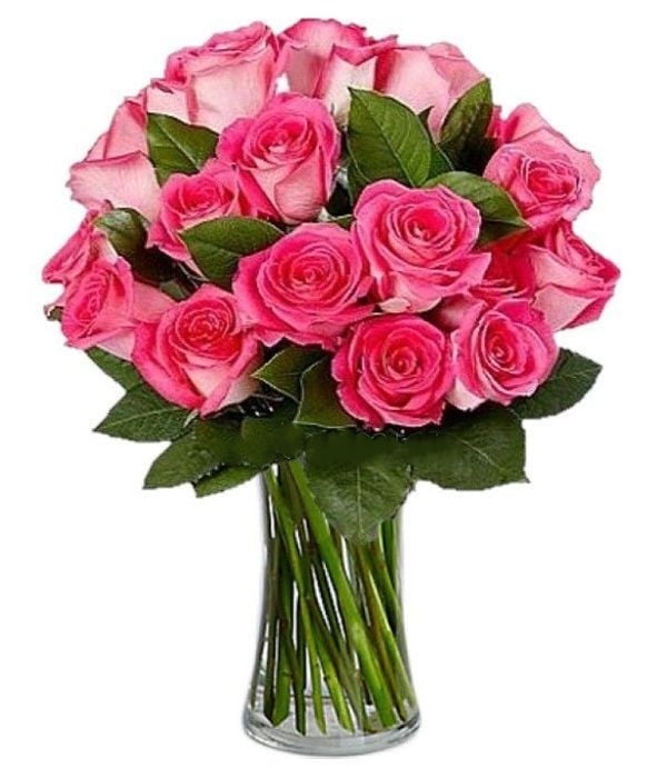 Romantic fuchsia roses (Basic)