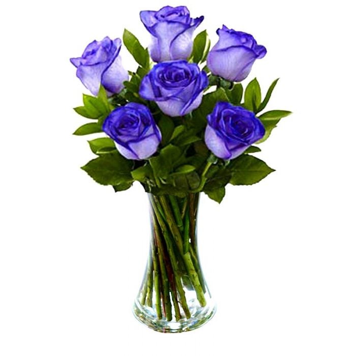 Bouquet Of 6 Blue Roses
