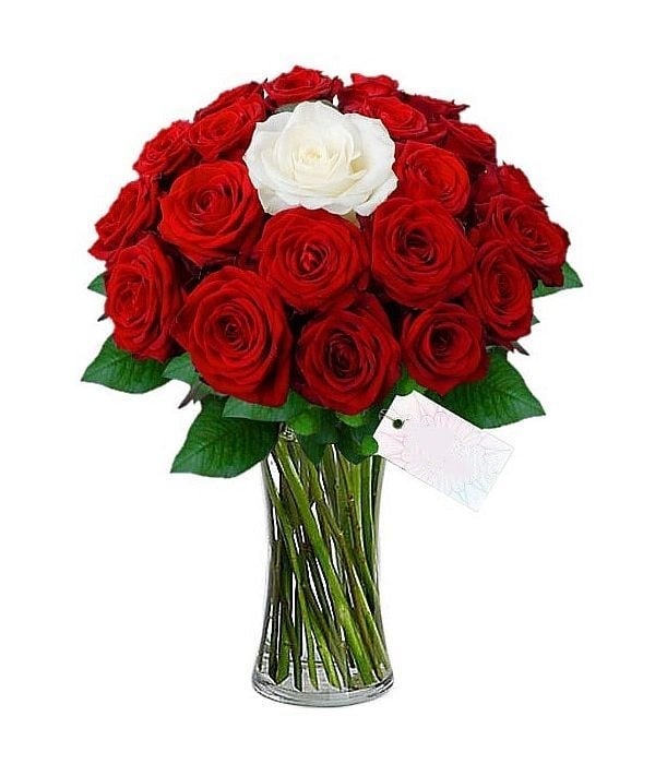 In Love with 21 gorgeous roses
