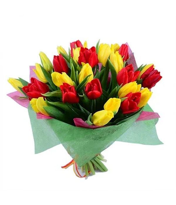 Colorful Tulips