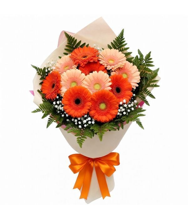 Gerberas in orange and salmon (Basic)