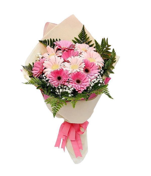 Pink and fuchsia gerberas (Basic)