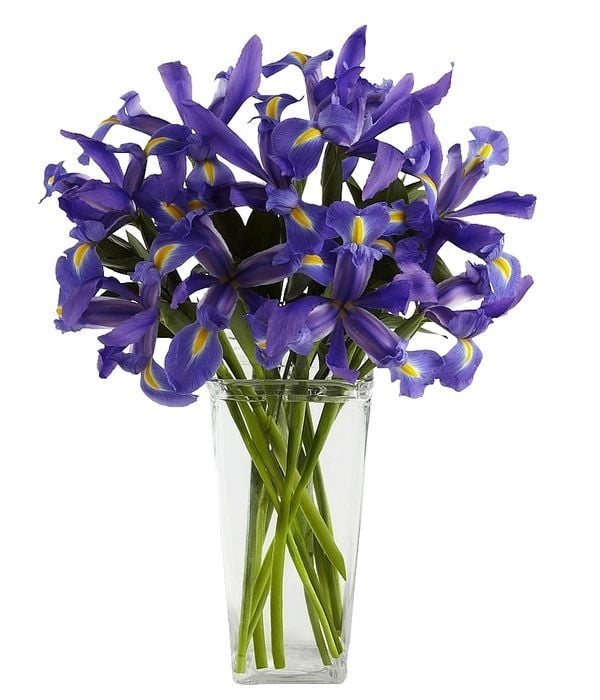 Blue irises in a bouquet (Basic)