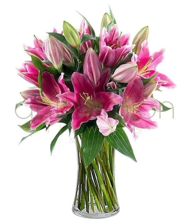 Fresh bouquet in pink shades (Basic)
