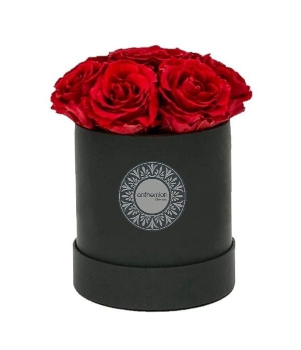 Black box in love