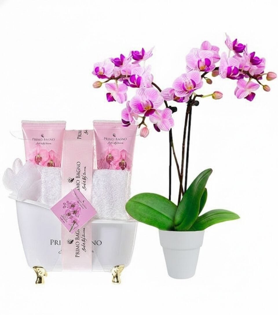 Wild orchid gift set
