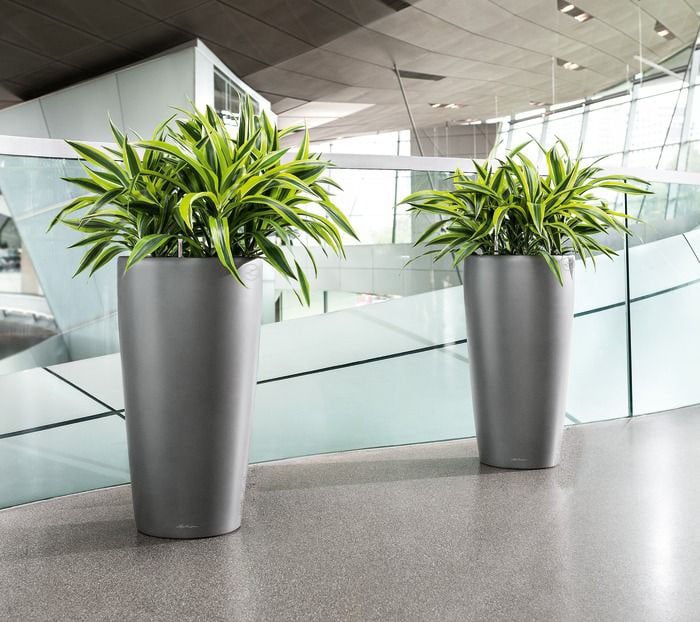 Rondo Tall Self-Watering Pot