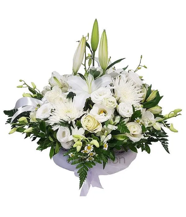 White in a Basket (Basic)
