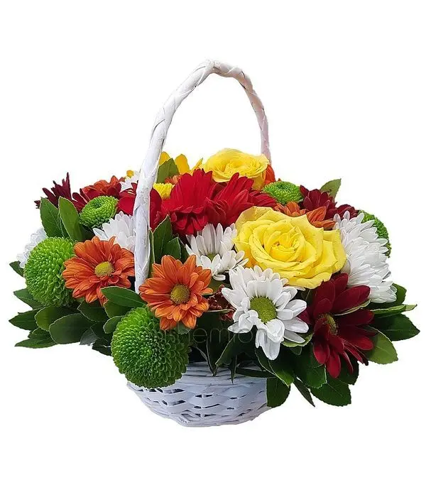 Funky Basket (Basic)