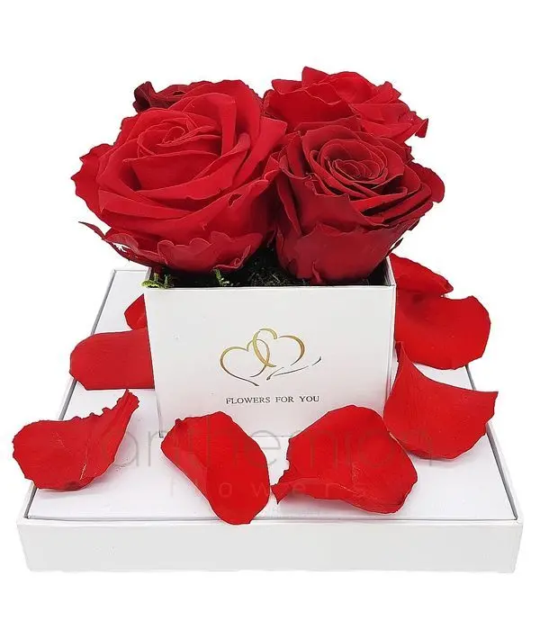 Forever roses in box with transparency