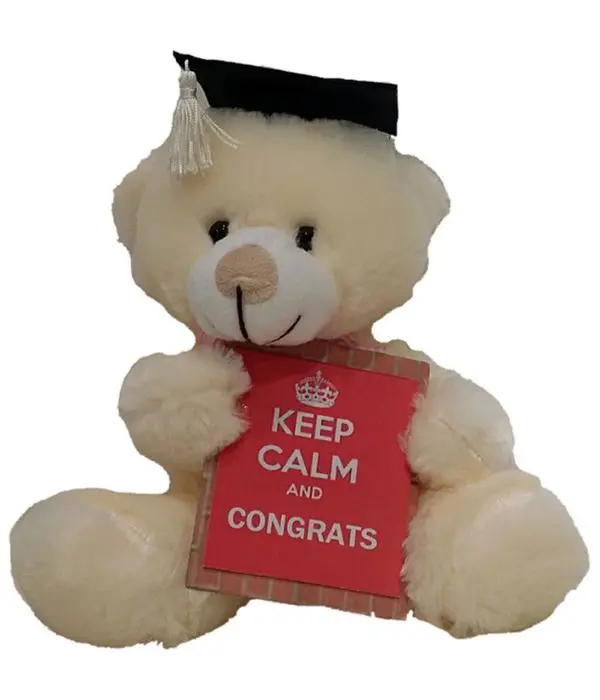 Congratulation teddy bear 30cm