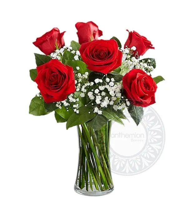 Bouquet of 6 red roses